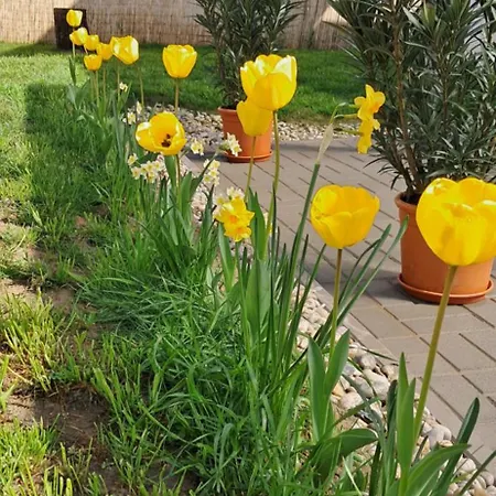 Igali Varázs 150 Méter A Fürdőtől *