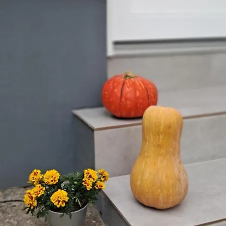 Igali Varázs 150 Méter A Fürdőtől