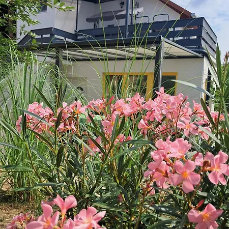 Igali Varázs 150 Méter A Fürdőtől Igal